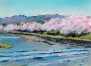 楽しいパステル画・色鉛筆画・水彩色鉛筆画　体験会の教室風景・作品