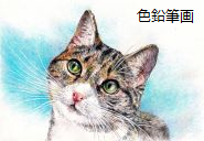 楽しいパステル画・色鉛筆画・水彩色鉛筆画の教室風景・作品