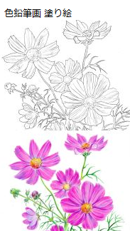 KBSカルチャー [美術] 楽しいパステル画・色鉛筆画・水彩色鉛筆画