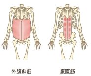 腹横筋を使って歌おう！体験会の教室風景・作品